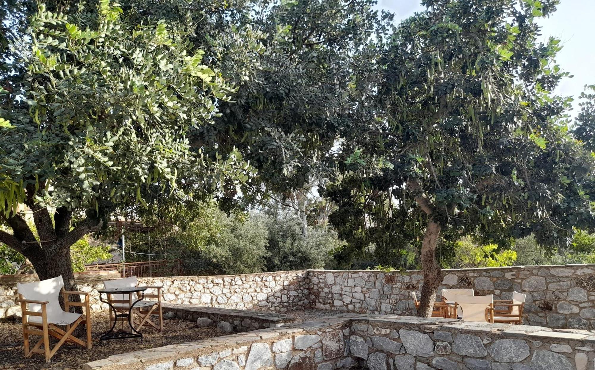 The Two Carob Trees, Traditional Stonehouse, Nikandri, Pirgos Diros Apartment Lefkias Екстериор снимка